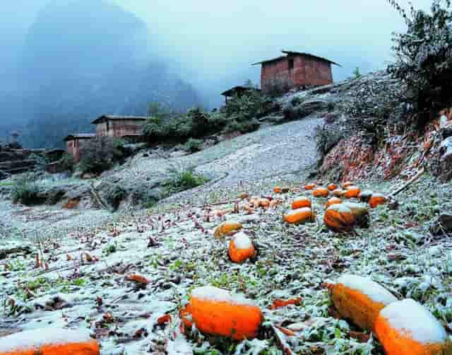 离婚后老婆还回婆家住