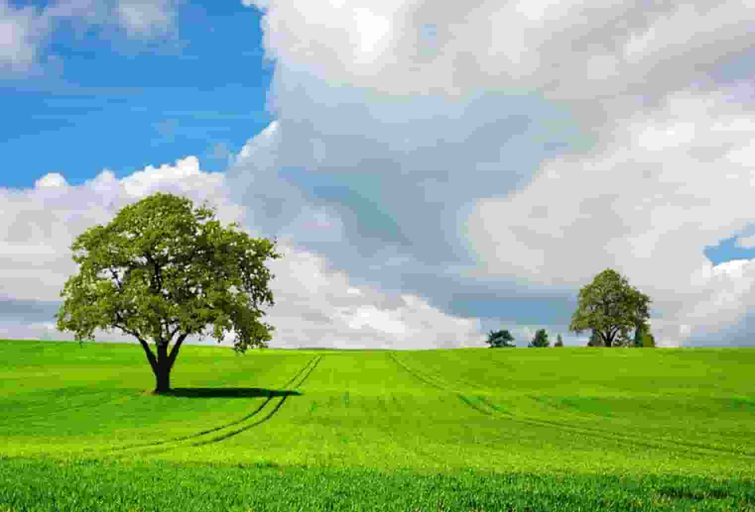 2021中国西北地区高职院校排名