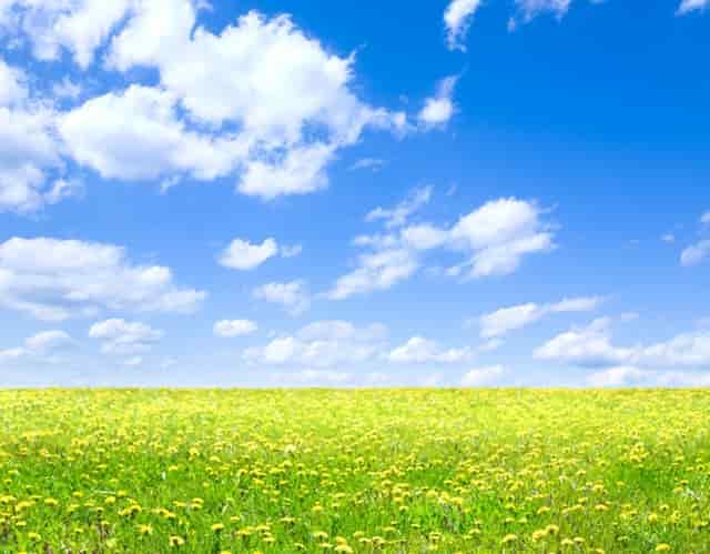 新手用户如何面试好？