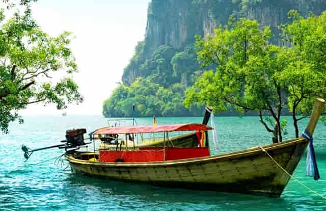 东京奥运会女排教练名单中未见安家杰