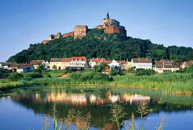 患了糖尿病不能吃哪些食物