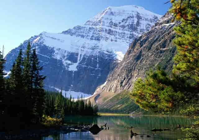 生态公园的现状(公园生态现状与生态工程调查)