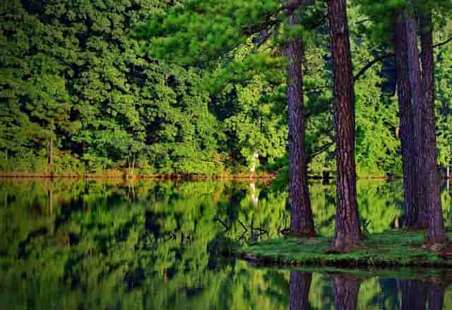 成都大暴雨最新报道(成都地铁钢琴最新报道)
