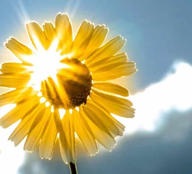 蔡嘉珍成功獲得註冊理財規劃師資格