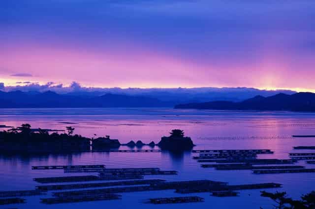 奥运会可以回放吗(在哪里可以看东京奥运会直播回放)