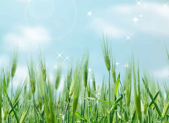 高级焊工升级师要求(中国高级焊工师)