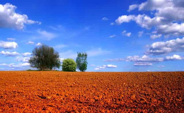 邮储银行东海县支行积极稳妥推进政务类存款转存工作