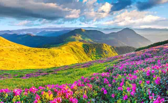 郑州公安经侦支队白剑