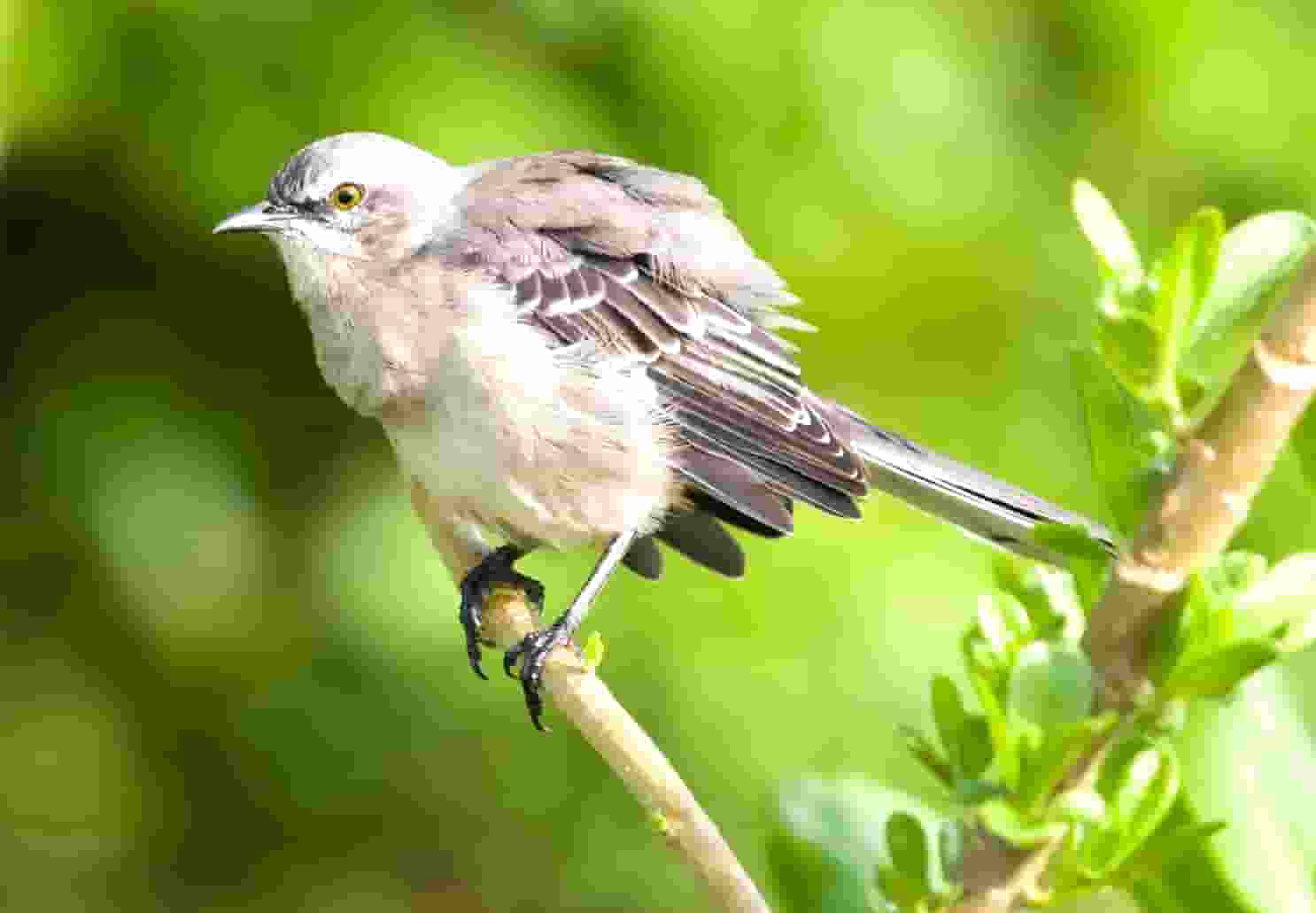 邮储银行连云港市分行举办小企业法人授信业务培训