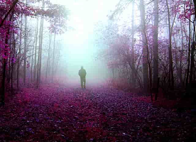 邮储银行连云港市分行召开2020年1-11月份经营分析会暨2020-2021跨年度竞赛第二次调度会