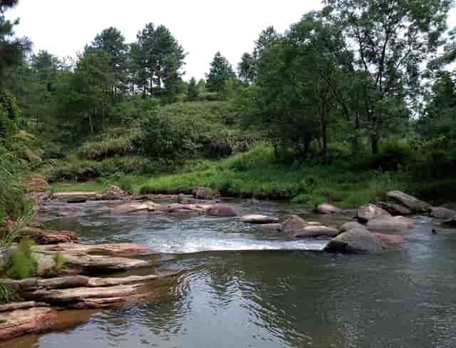 邮储银行连云港市分行开展国家宪法日主题宣传活动