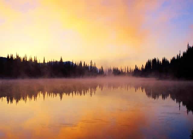 教育部要求高校教学(教育部要求高校封闭式管理)