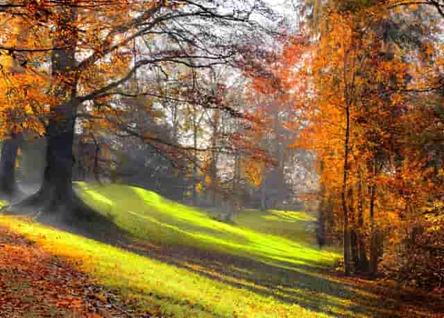 邮储银行东海县支行：党员带头争先锋，树立模范好榜样