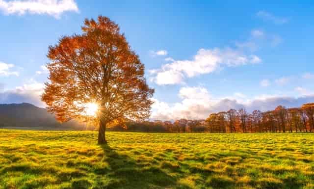 首付款达2.45亿美元！杨森引进西比曼生物两款CAR-T产品