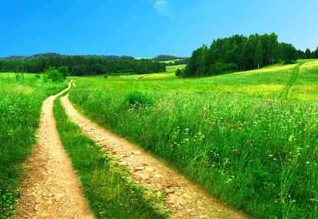 怎样调馅好吃的家常菜(白菜怎样做好吃的家常菜)