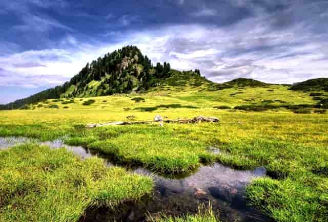 西比曼在2023AACR首次公布其全新的用于治疗晚期肝细胞癌CAR-T产品的I期临床试验数据