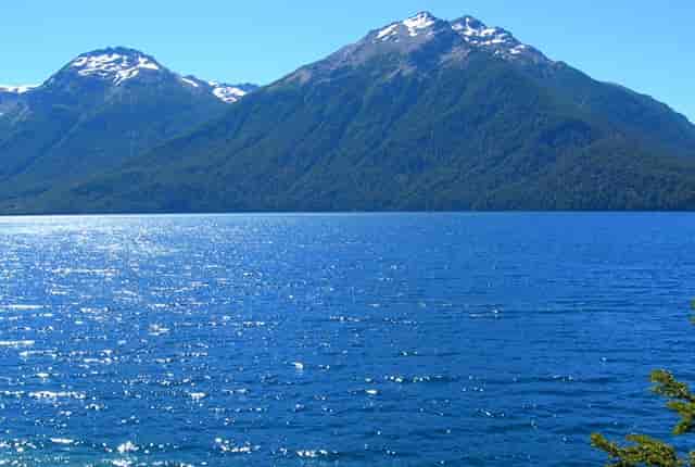 西比曼正式宣布启动脂肪间充质干细胞产品AlloJoin®的III期临床试验