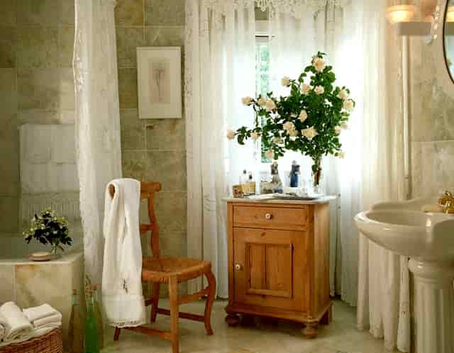 “鄂尔多斯红葱”正逐步走向产业化