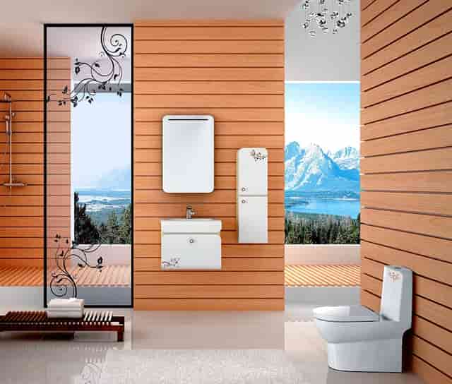 袖虎病猫攻略：给猫找一个合适的对象