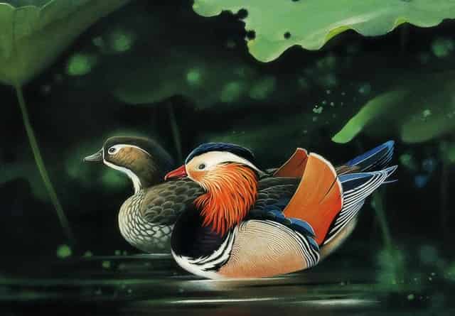 邮储银行东海县支行与县供电公司签订战略合作协议