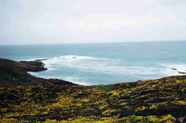 为什么人都想进事业单位