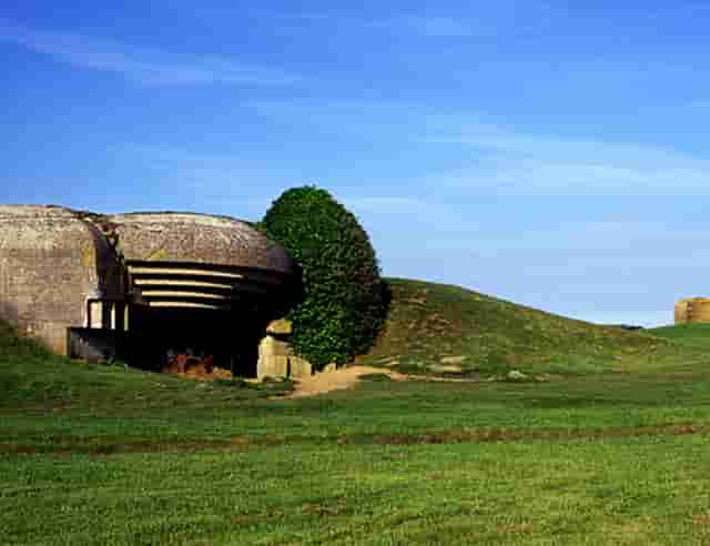 蔡嘉珍榮獲註冊理財規劃師資格
