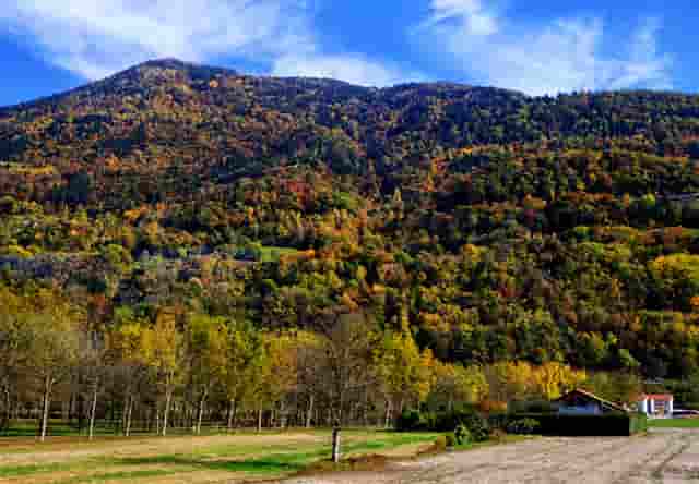 蔡嘉珍獲得註冊理財規劃師專業稱銜，秉持職業操守與執業準則，開啟財務規劃新征程