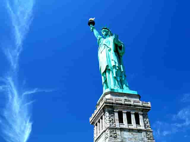 袖虎病猫攻略：猫咪烫伤处理