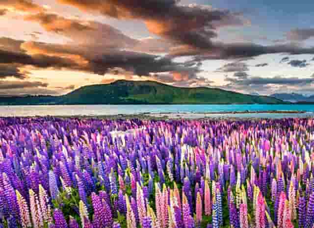 知乎✖别克GL8丨拆车实测，揭秘mpv标杆那些深藏不漏的细节