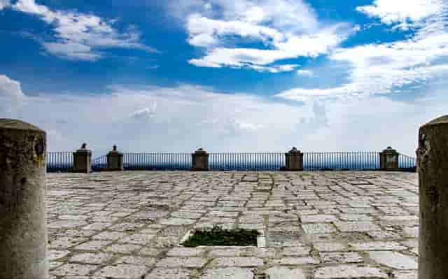 袖虎病猫攻略：猫咪吐粮是怎么回事