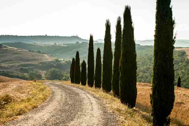 100个伤感故事合集(伤感短故事100字左右)