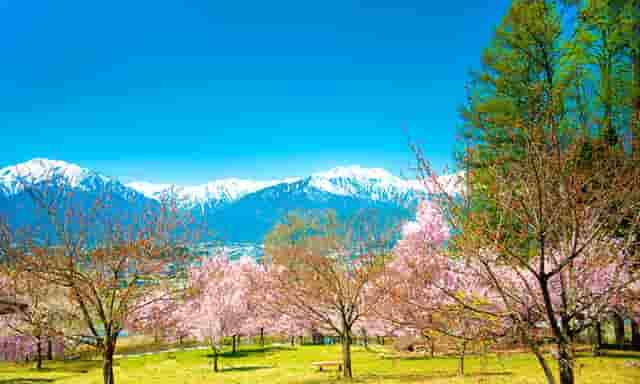 生完宝宝两个多月了白带有点血