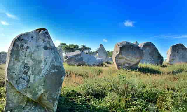 “它经济”时代赋能，袖虎宠物实现完美逆袭！
