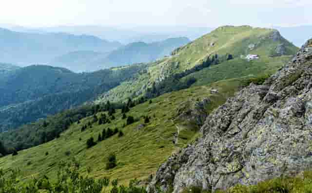 网上买的藕粉为什么那么白(为什么网上藕粉这么便宜)