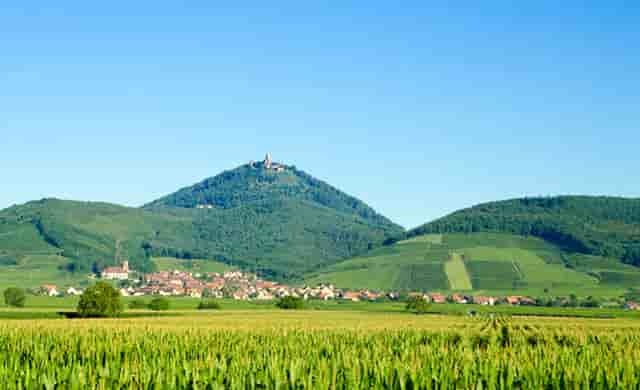 袖虎加盟：揭秘加盟骗子手段