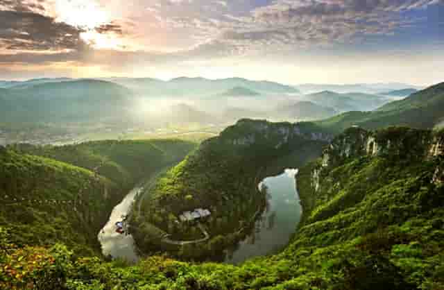 袖虎病猫攻略：猫指甲开裂可怕吗？别把自己吓到了