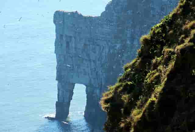 车碰撞人视频(法系车碰撞测试视频)