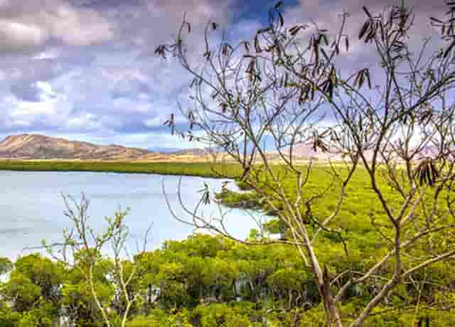 双标灯塔原形视频(谭维维灯塔视频)