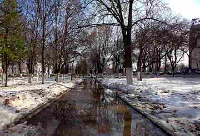 刘诗雯奥运女子单打(奥运女子单打名单)