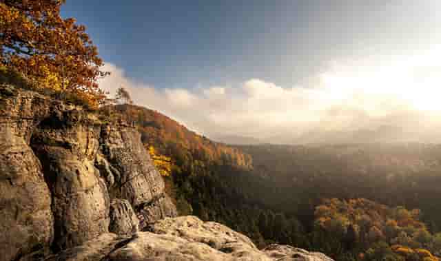 袖虎病狗攻略：可能不是所有人都知道，狗狗也有大姨妈