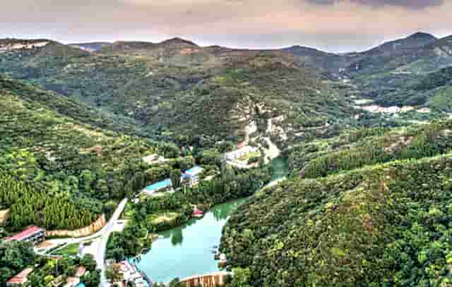 袖虎病猫攻略 ：猫咪挠人的原因之一，脚垫