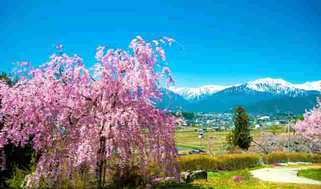 掌上世界杯火热来袭 枞横世界杯预测锦标赛进行中