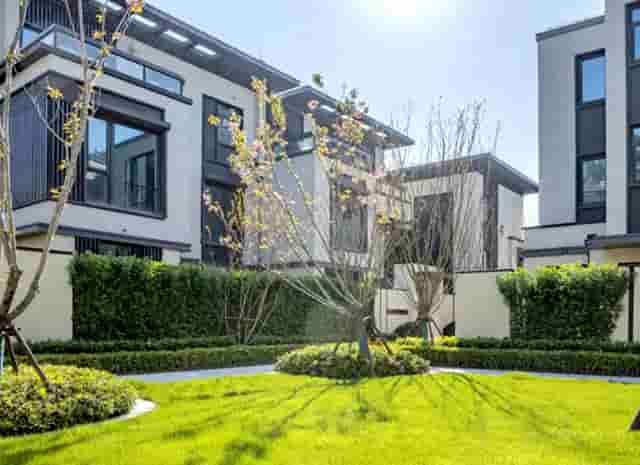 袖虎宠物商业调查：开宠物店如何采购活体资源