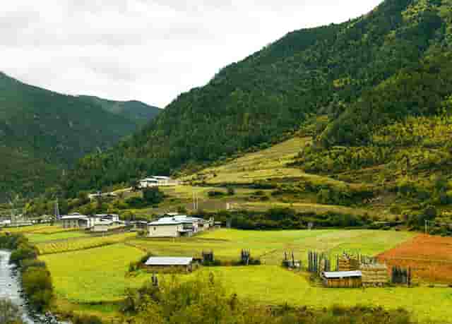 现在的篮网和湖人