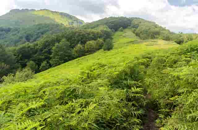核心区房产指(什么叫核心房产)